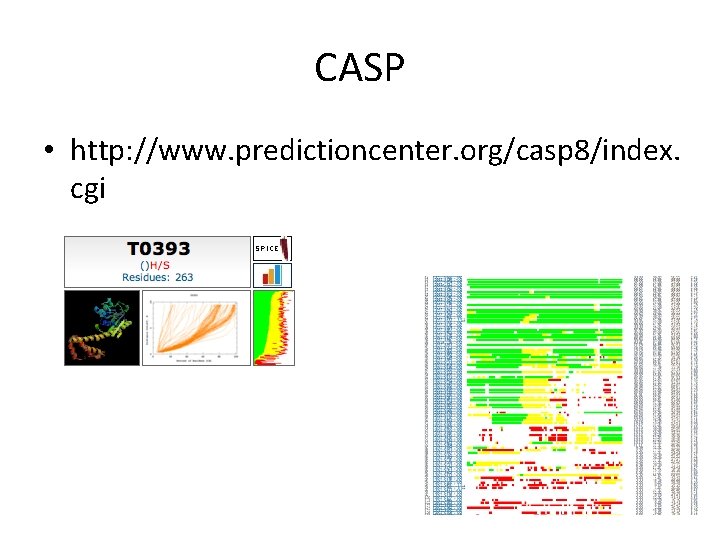 CASP • http: //www. predictioncenter. org/casp 8/index. cgi 