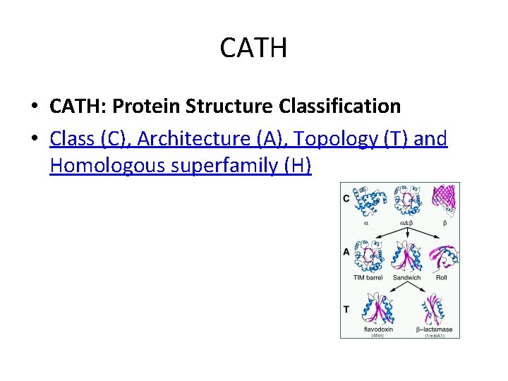 CATH • CATH: Protein Structure Classification • Class (C), Architecture (A), Topology (T) and