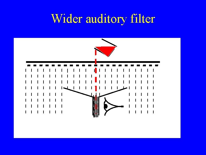 Wider auditory filter 