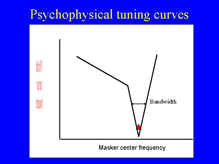 Psychophysical tuning curves Bandwidth Masker center frequency 