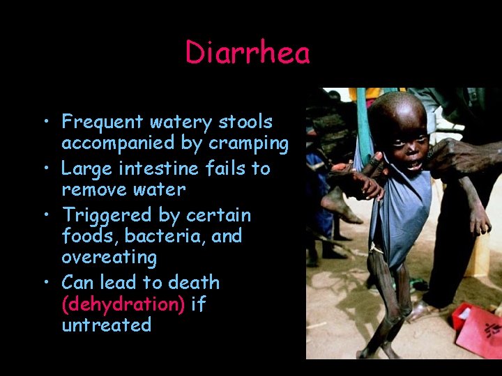 Digestive System Chapter 38 Function Breaks down food