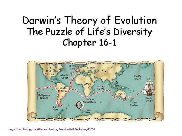 Darwin’s Theory of Evolution The Puzzle of Life’s Diversity Chapter 16 -1 Image from: