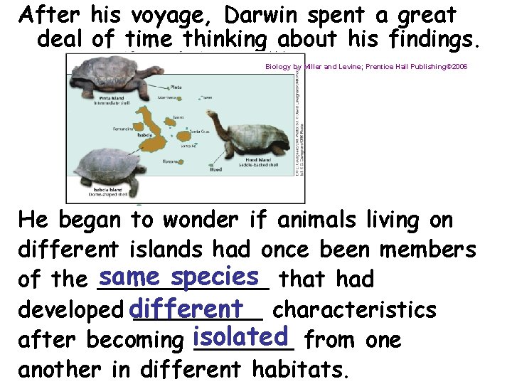 After his voyage, Darwin spent a great deal of time thinking about his findings.