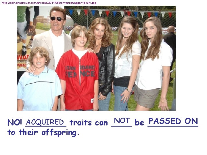 http: //cdn. sheknows. com/articles/2011/05/schwarzenegger-family. jpg NOT be _____ PASSED ON ACQUIRED traits can ____