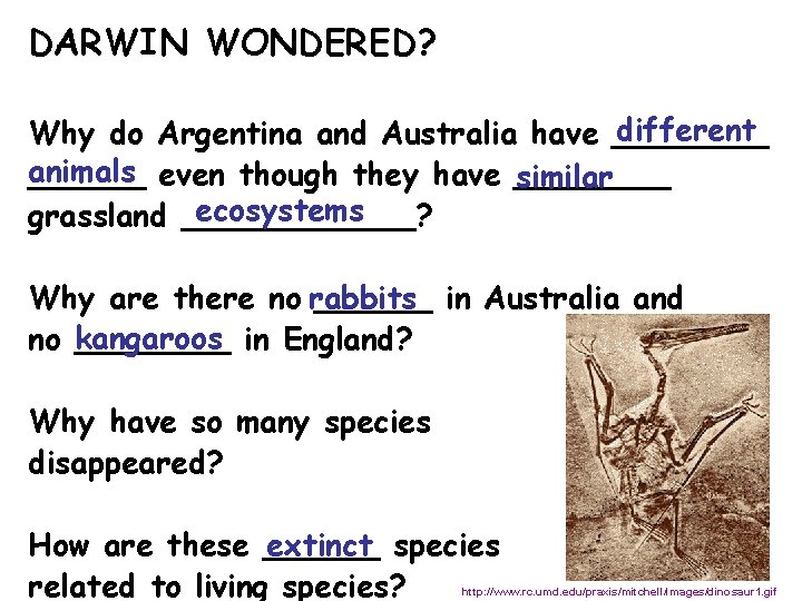 DARWIN WONDERED? different Why do Argentina and Australia have ____ animals ______ even though