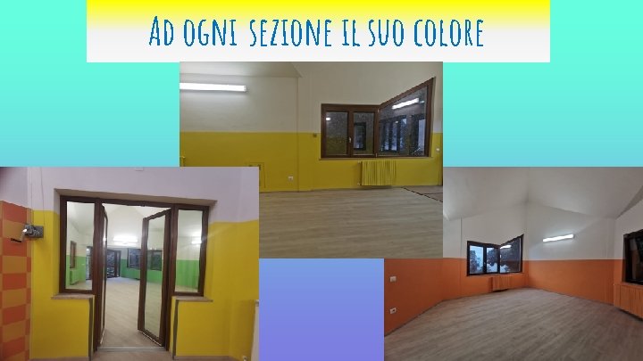 Ad ogni sezione il suo colore 