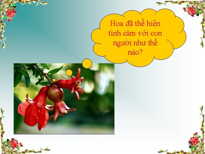 Hoa đã thể hiện tình cảm với con người như thế nào? 30 