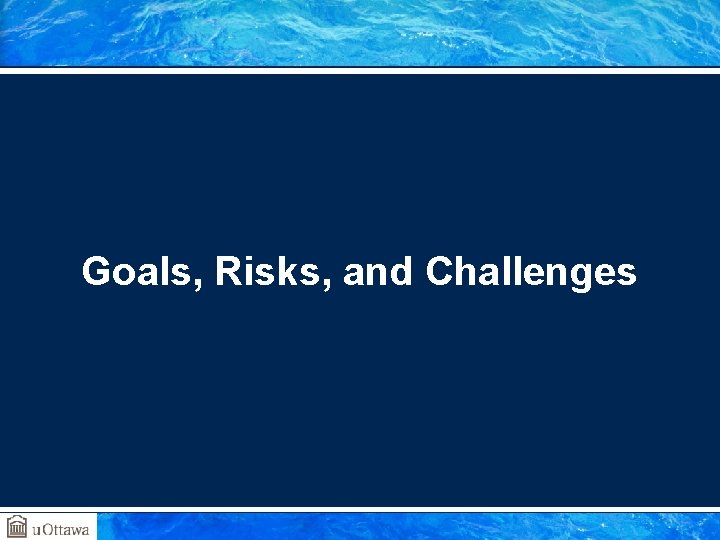 Goals, Risks, and Challenges 