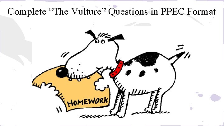 Complete “The Vulture” Questions in PPEC Format 