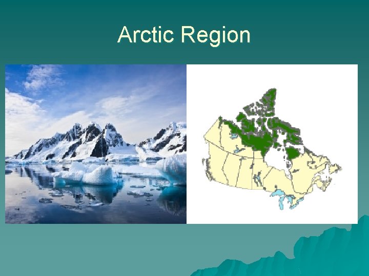 Arctic Region 