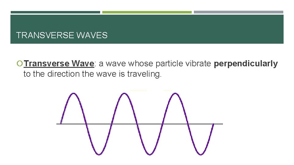TRANSVERSE WAVES Transverse Wave: a wave whose particle vibrate perpendicularly to the direction the