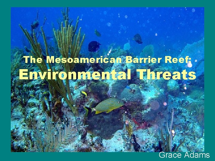 The Mesoamerican Barrier Reef: Environmental Threats Grace Adams 