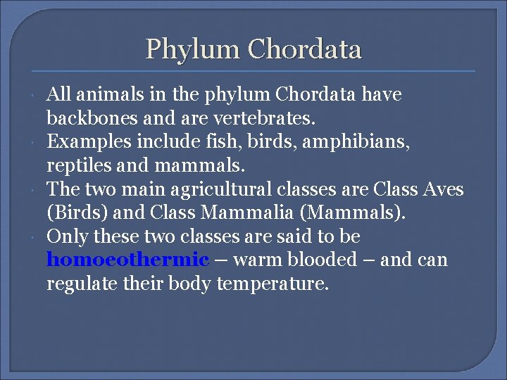 Phylum Chordata All animals in the phylum Chordata have backbones and are vertebrates. Examples