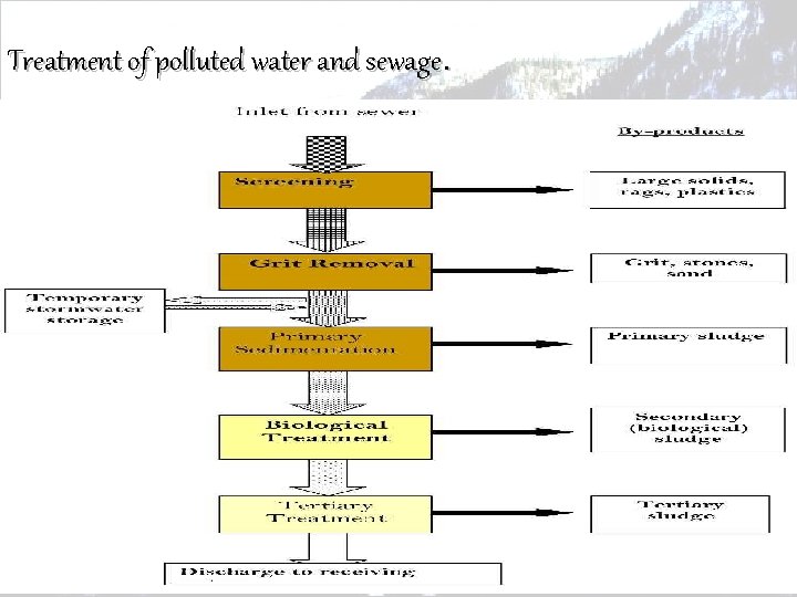 Treatment of polluted water and sewage. 