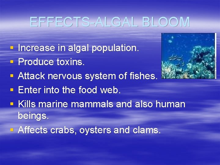 EFFECTS-ALGAL BLOOM § § § Increase in algal population. Produce toxins. Attack nervous system