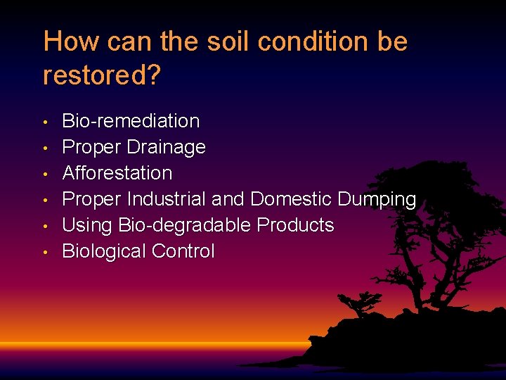 How can the soil condition be restored? • • • Bio-remediation Proper Drainage Afforestation