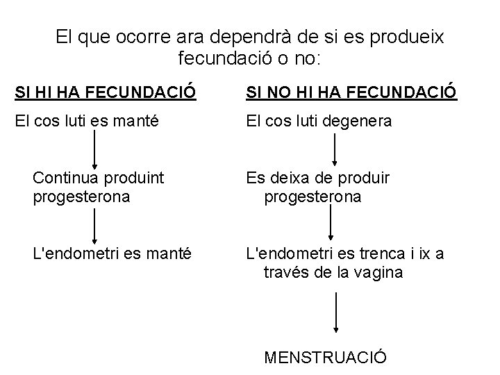 El que ocorre ara dependrà de si es produeix fecundació o no: SI HI