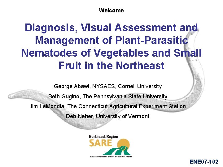 Welcome Diagnosis, Visual Assessment and Management of Plant-Parasitic Nematodes of Vegetables and Small Fruit