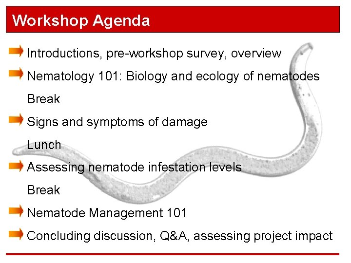 Workshop Agenda Introductions, pre-workshop survey, overview Nematology 101: Biology and ecology of nematodes Break