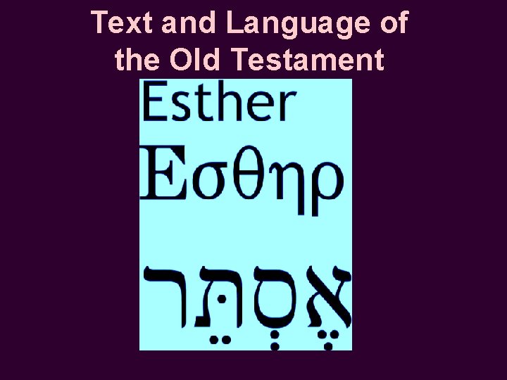 Text and Language of the Old Testament 