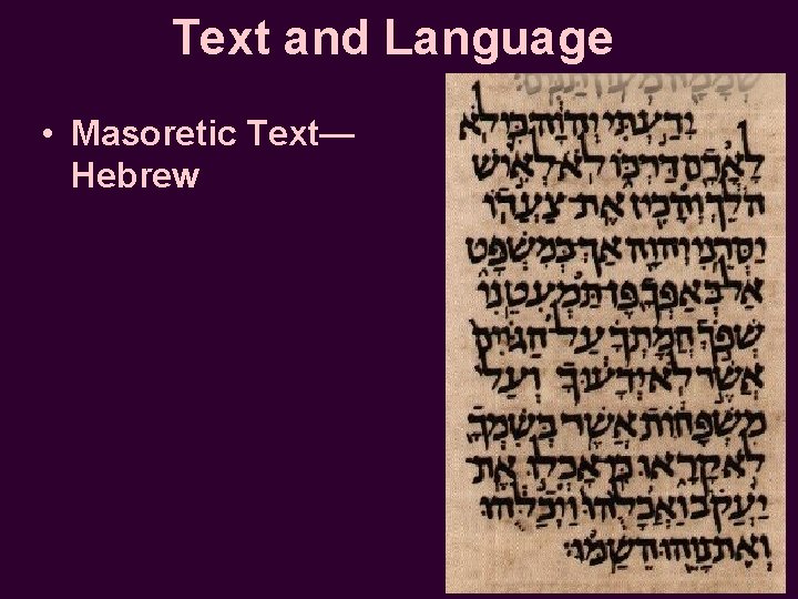 Text and Language • Masoretic Text— Hebrew 