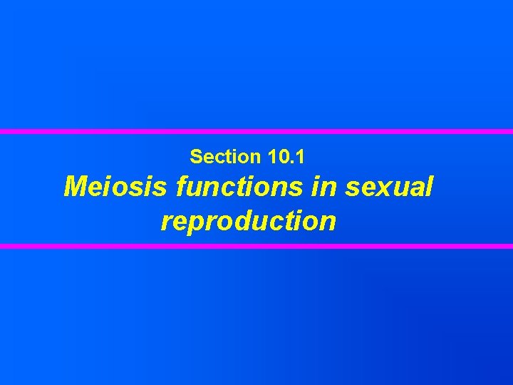 Section 10. 1 Meiosis functions in sexual reproduction 