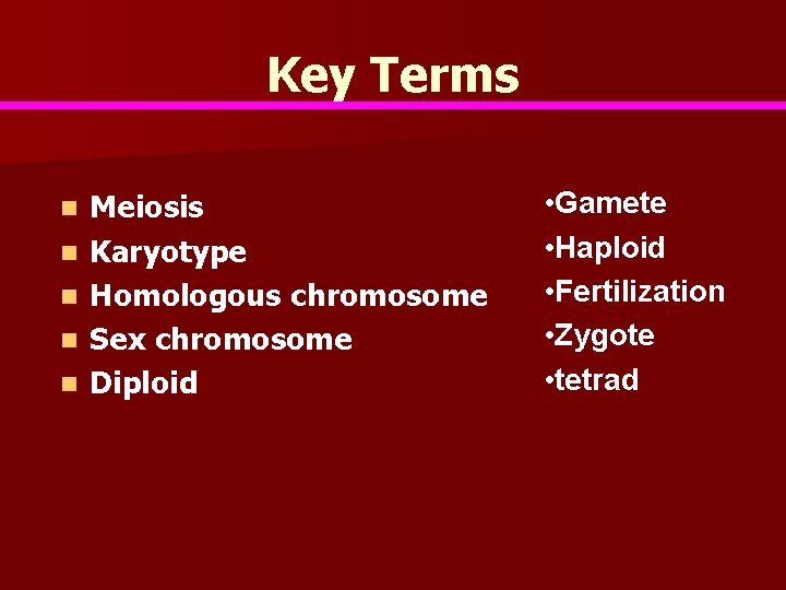 Key Terms n n n Meiosis Karyotype Homologous chromosome Sex chromosome Diploid • Gamete