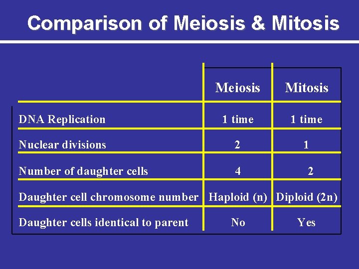 Comparison of Meiosis & Mitosis Meiosis Mitosis DNA Replication 1 time Nuclear divisions 2
