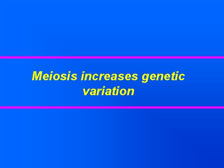 Meiosis increases genetic variation 
