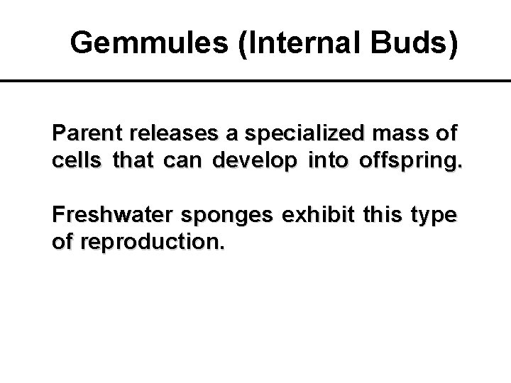 Gemmules (Internal Buds) Parent releases a specialized mass of cells that can develop into
