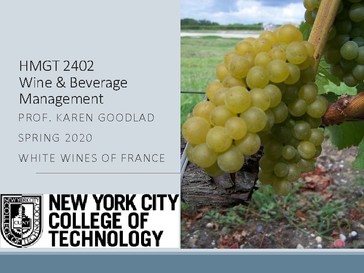 HMGT 2402 Wine & Beverage Management PROF. KAREN GOODLAD SPRING 2020 WHITE WINES OF