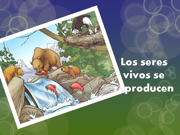 Los seres vivos se reproducen 