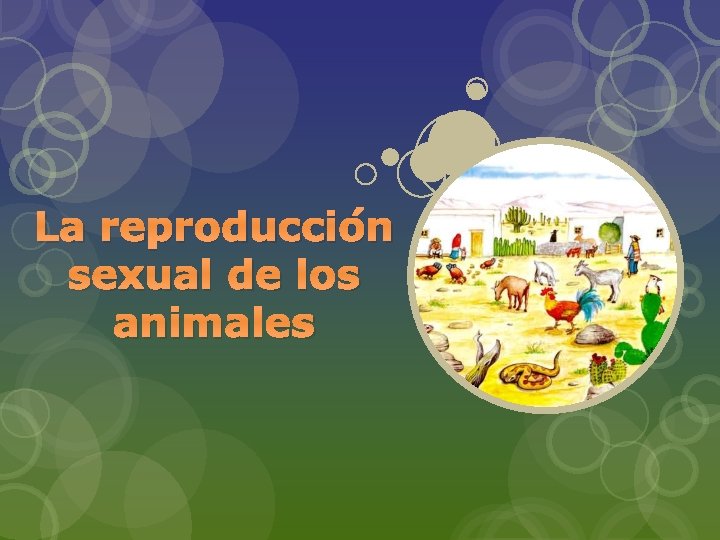 La reproducción sexual de los animales 
