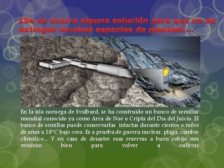 ¿Se os ocurre alguna solución para que no se extingan muchas especies de plantas?