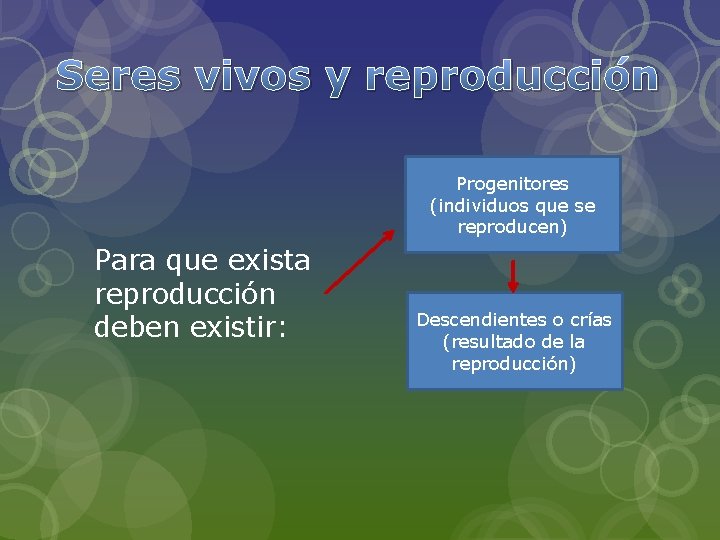 Seres vivos y reproducción Progenitores (individuos que se reproducen) Para que exista reproducción deben