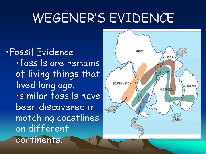 WEGENER’S EVIDENCE • Fossil Evidence • fossils are remains of living things that lived