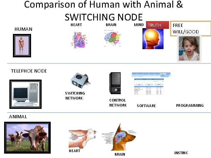 Comparison of Human with Animal & SWITCHING NODE HUMAN HEART BRAIN MIND TRUTH FREE