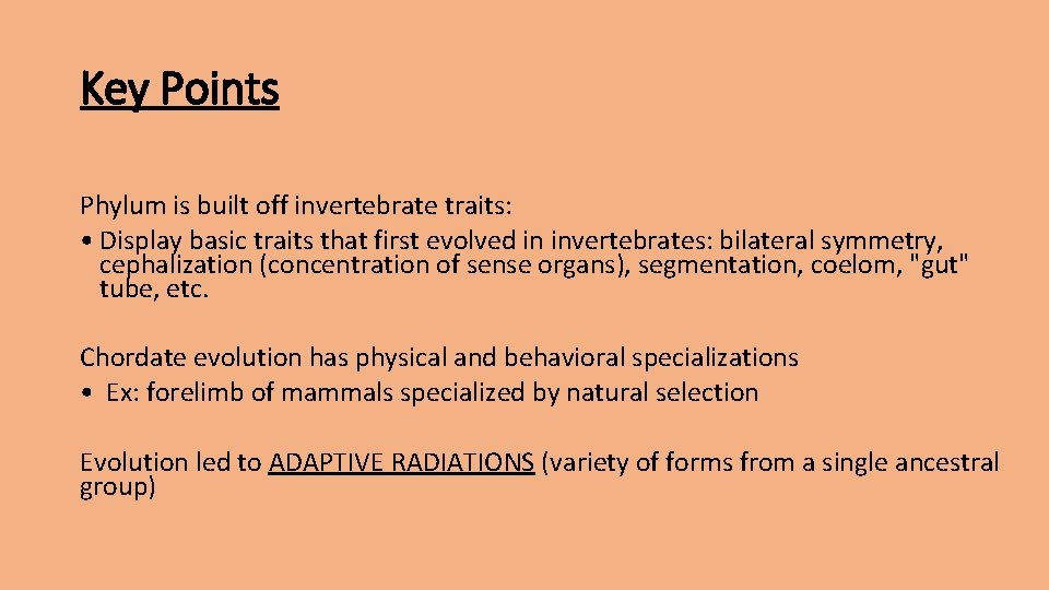 Key Points Phylum is built off invertebrate traits: • Display basic traits that first