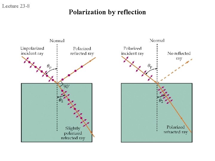 Lecture 23 -8 Polarization by reflection 
