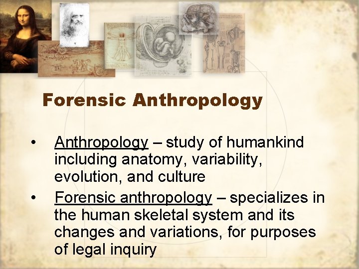 Forensic Anthropology • • Anthropology – study of humankind including anatomy, variability, evolution, and