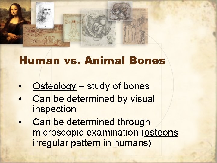 Human vs. Animal Bones • • • Osteology – study of bones Can be