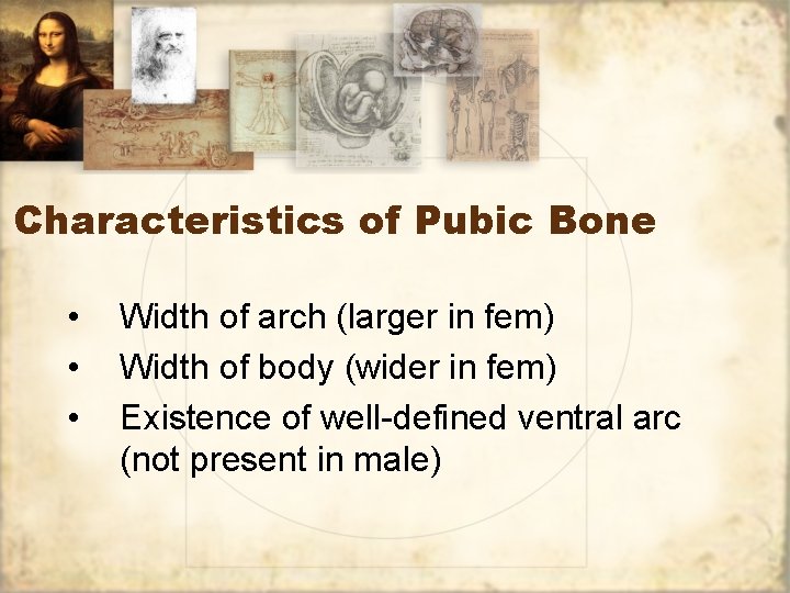 Characteristics of Pubic Bone • • • Width of arch (larger in fem) Width