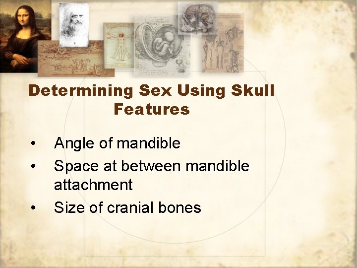 Determining Sex Using Skull Features • • • Angle of mandible Space at between