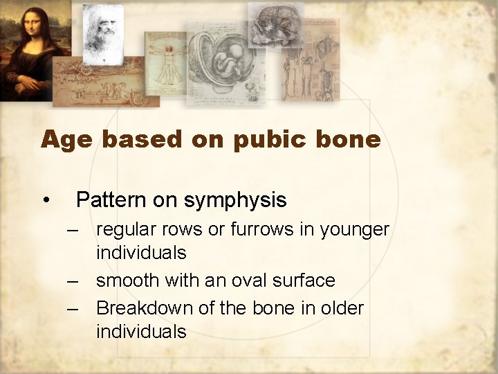 Age based on pubic bone • Pattern on symphysis – regular rows or furrows