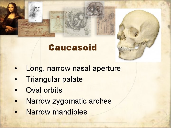 Caucasoid • • • Long, narrow nasal aperture Triangular palate Oval orbits Narrow zygomatic