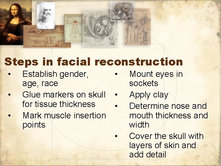 Steps in facial reconstruction • • • Establish gender, • age, race Glue markers