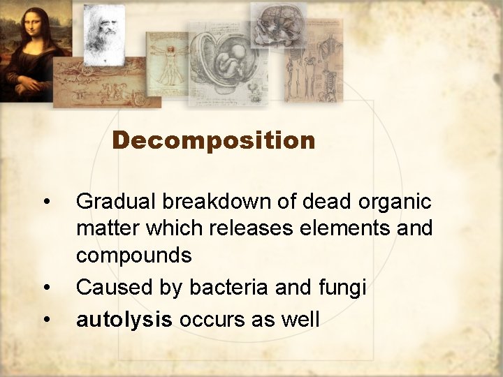 Decomposition • • • Gradual breakdown of dead organic matter which releases elements and