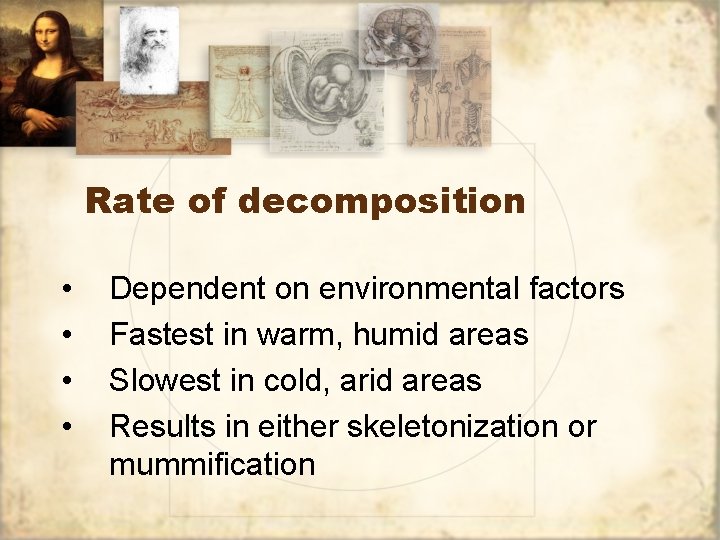 Rate of decomposition • • Dependent on environmental factors Fastest in warm, humid areas