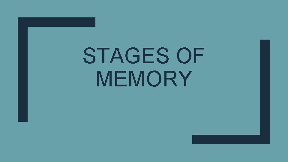 STAGES OF MEMORY 