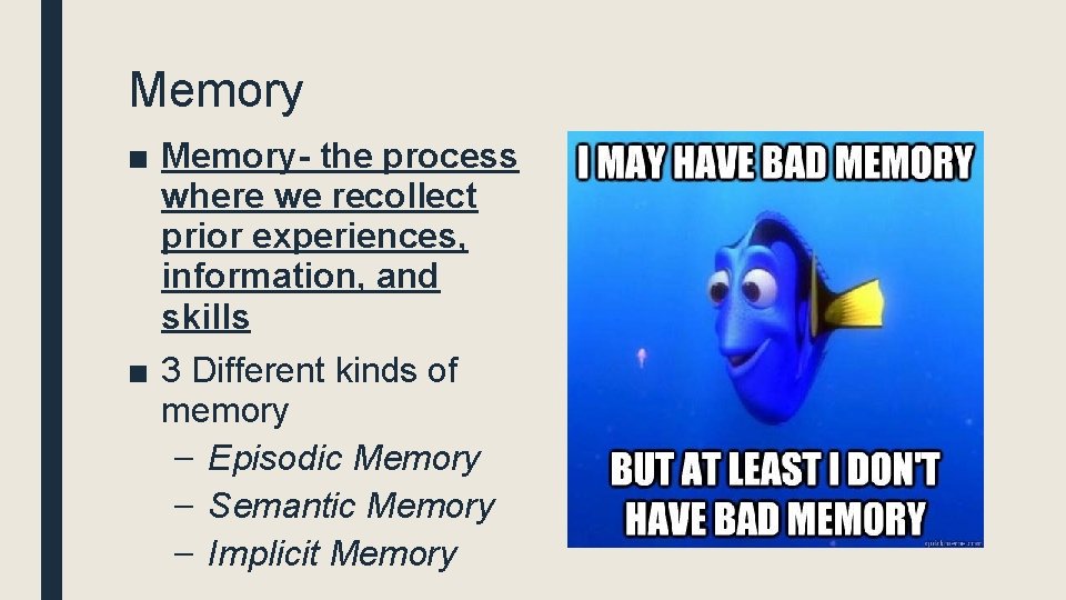 Memory ■ Memory- the process where we recollect prior experiences, information, and skills ■